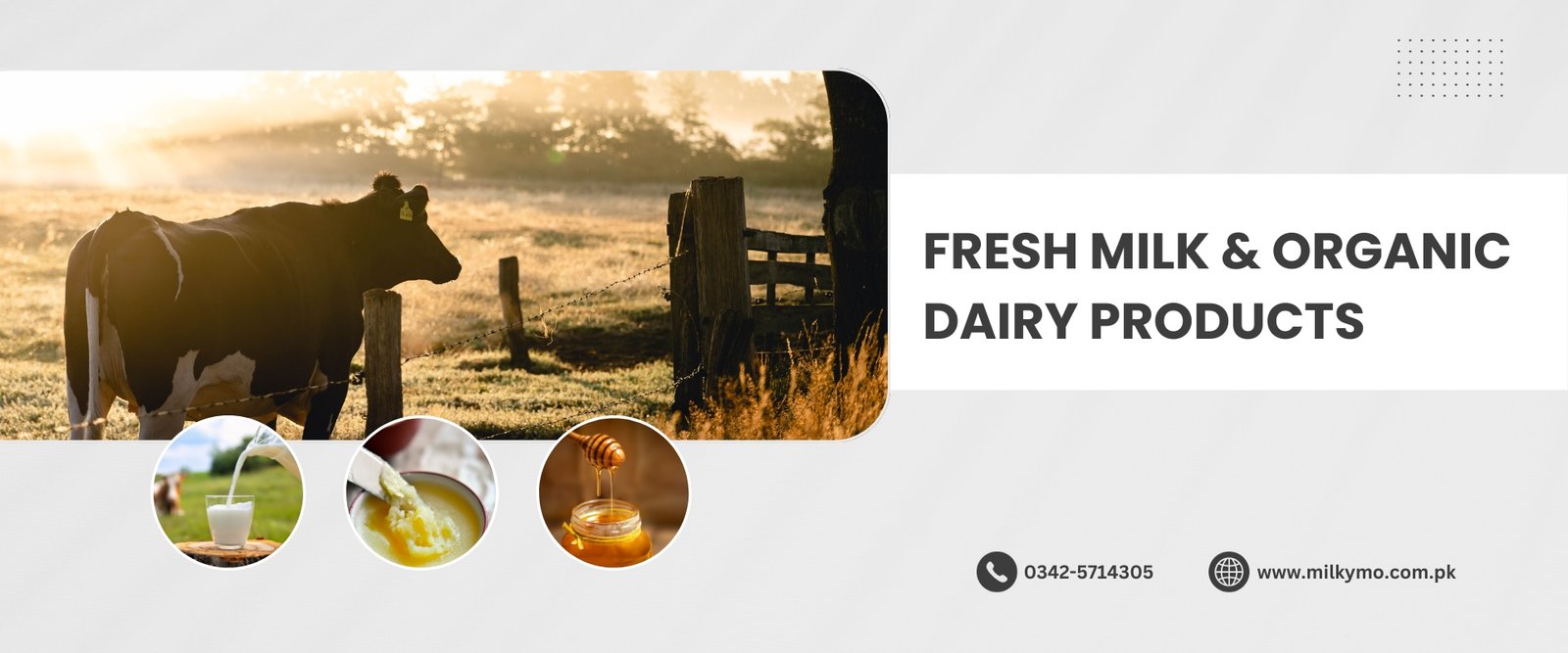 MilkyMo Organic Healthy Fresh